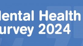 Mental Health Survey 2024