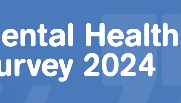 Mental Health Survey 2024